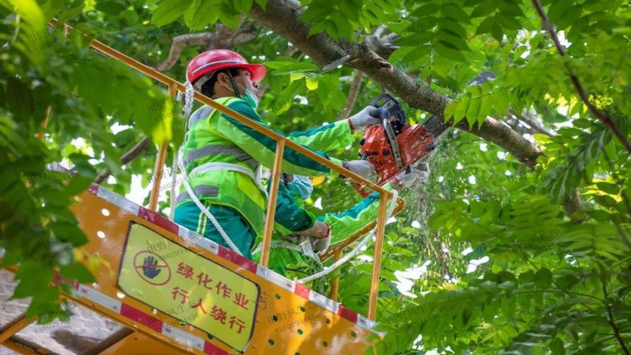 临湘绿化市容热线