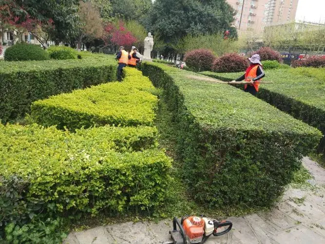 宿州绿化工程招标